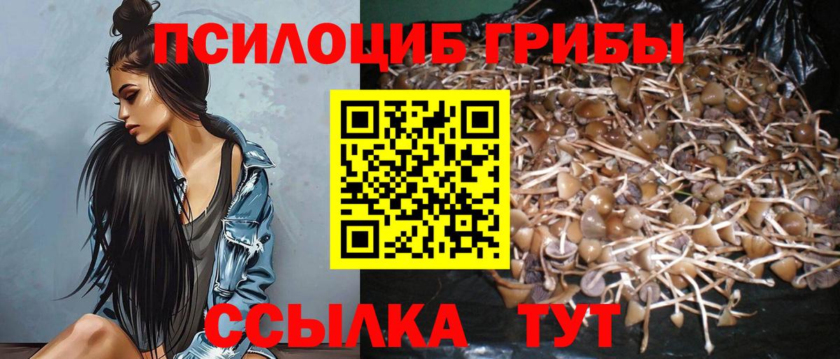 Кимры  Галлюциногенные грибы GOLDEN TEACHER  Вход с VPN 